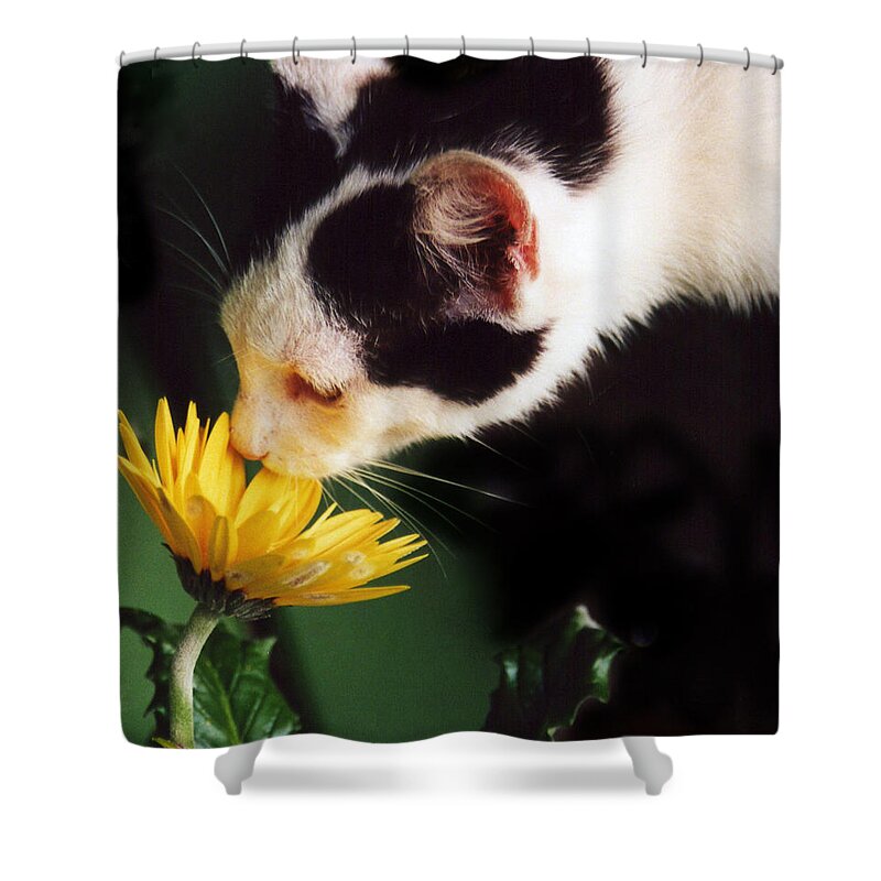 Photograph Shower Curtain featuring the photograph Cat Smelling Flower by Larah McElroy