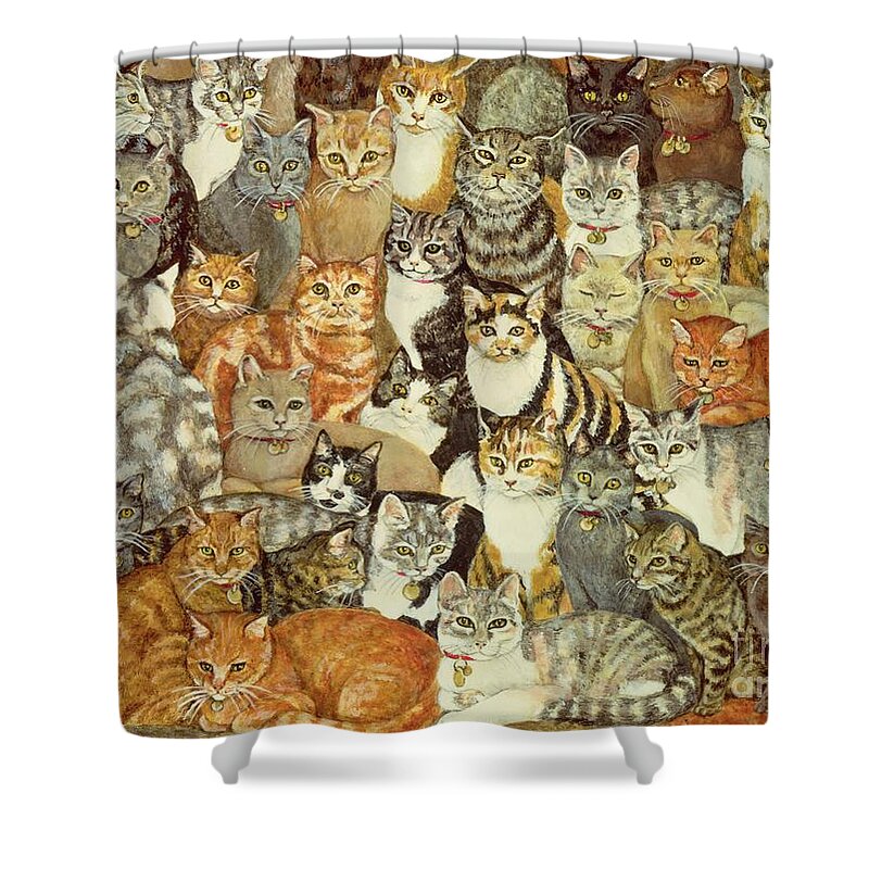 Cat Shower Curtain featuring the painting Cat Spread by Ditz