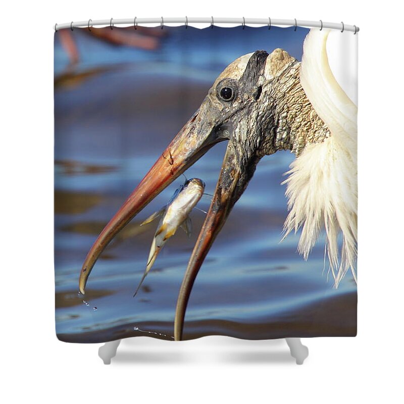 Wood Shower Curtain featuring the photograph Catch Of The Day by Bruce J Robinson