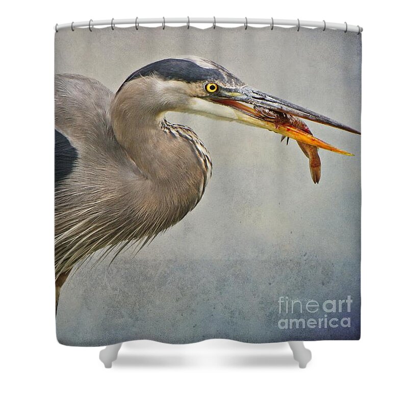  Shower Curtain featuring the photograph Catch of the day by Heather King