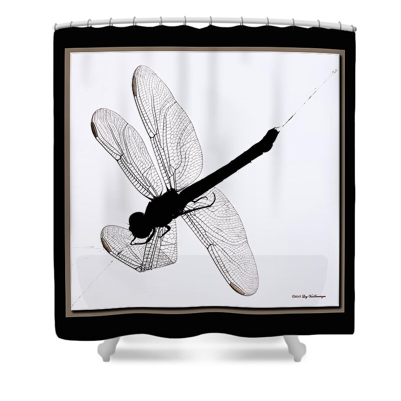 Dragonfly In Spiderweb Photograph Shower Curtain featuring the photograph Catch of the Day by Lucy VanSwearingen