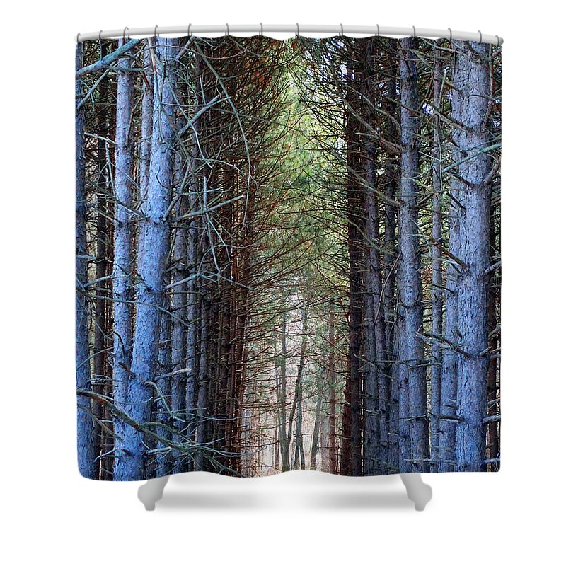 Pines Shower Curtain featuring the photograph Cathedral of Pines by David T Wilkinson