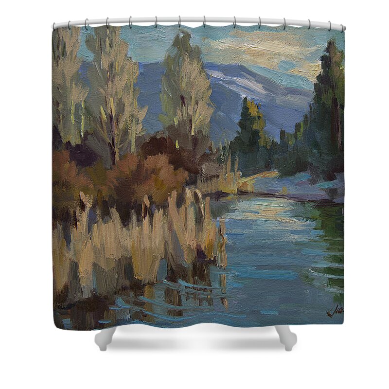 Pond Shower Curtain featuring the painting Cattails at Harry's Pond 1 by Diane McClary