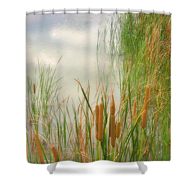 Cattails Shower Curtain featuring the photograph Cattails by Marilyn Diaz