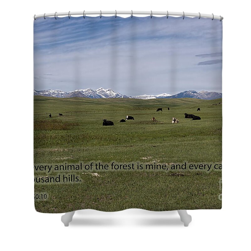 Cattle Shower Curtain featuring the photograph Cattle and Bible Verse by David Arment