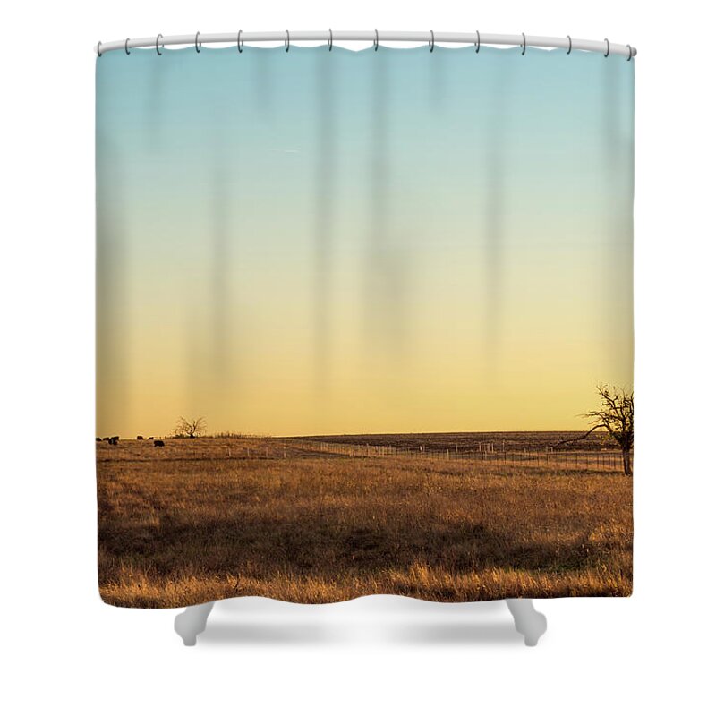 Scenics Shower Curtain featuring the photograph Cattle Grazing by Carol Wood