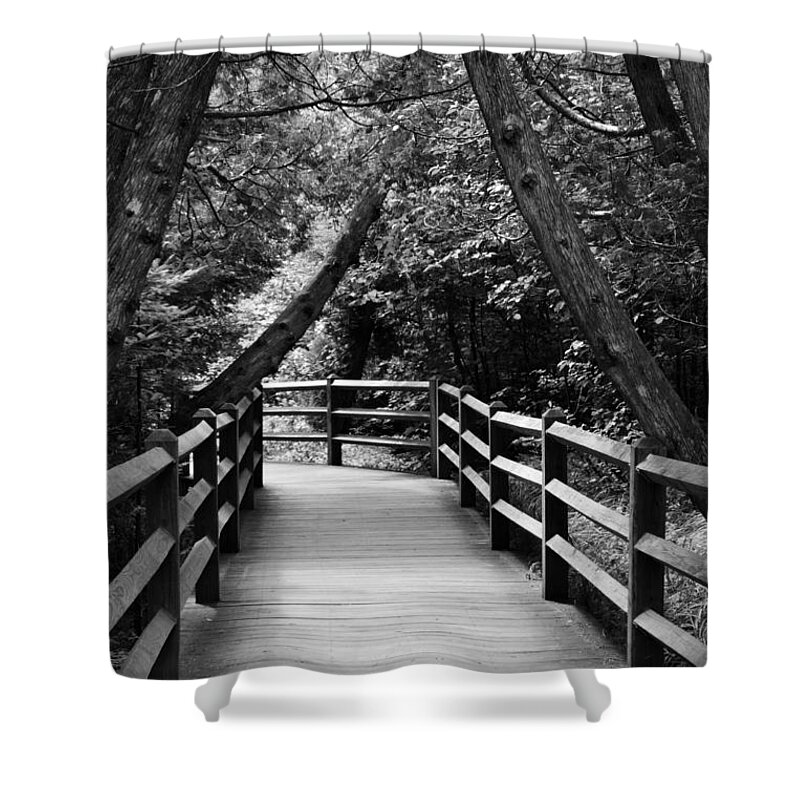 Path Shower Curtain featuring the photograph Cedar Pathway by Michelle Calkins
