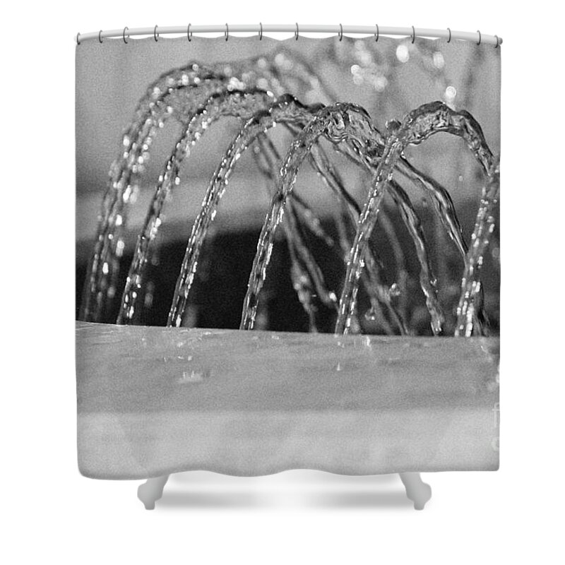 Water Shower Curtain featuring the photograph Centipede by Eileen Gayle