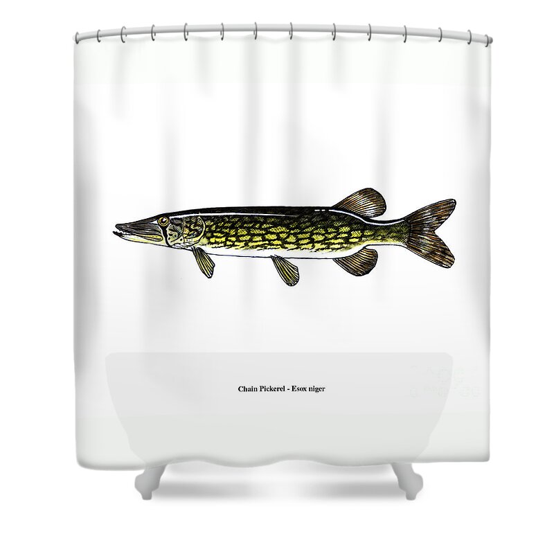 Fish Shower Curtain featuring the mixed media Chain Pickerel by Art MacKay