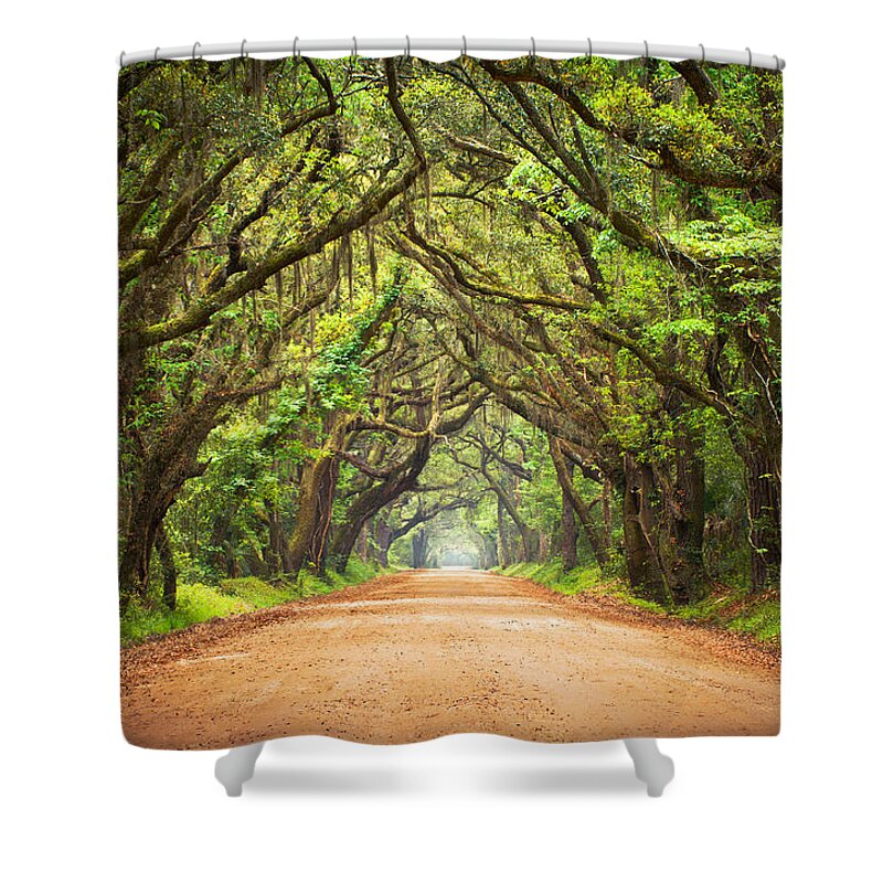 Swamp Shower Curtain featuring the photograph Charleston SC Edisto Island - Botany Bay Road by Dave Allen