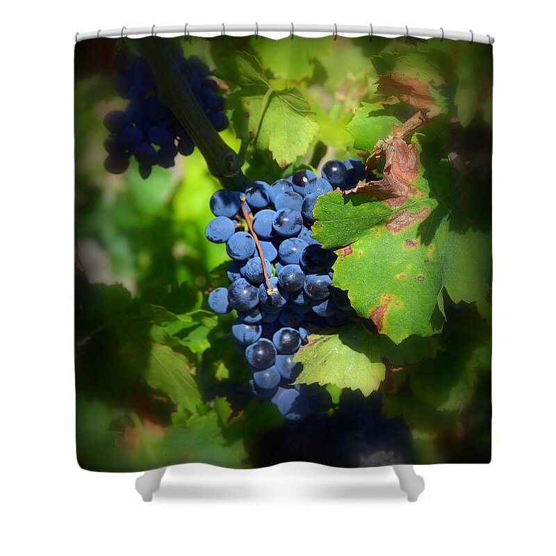 Chateauneuf Shower Curtain featuring the photograph Chateauneuf du Pape Hidden Treasure by Carla Parris
