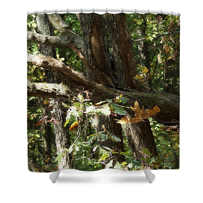 Autumn Leaves Shower Curtain featuring the photograph Chattahoochee River Trails by Rafael Salazar