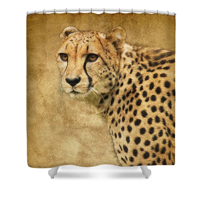 Cheetah Shower Curtain featuring the photograph Cheetah by Steve McKinzie
