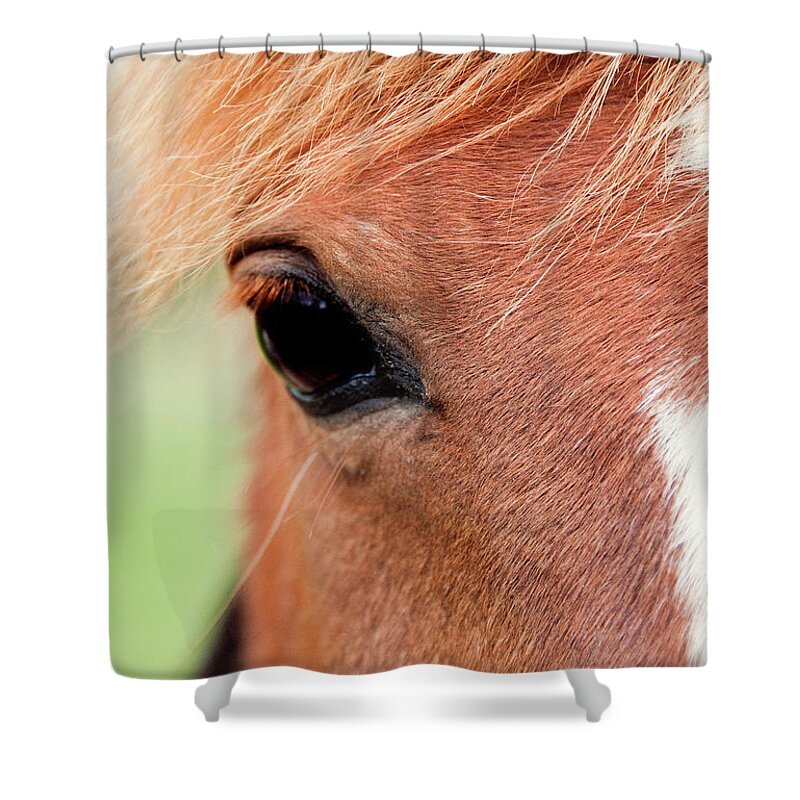 Horse Shower Curtain featuring the photograph Chestnut Horse Face, Focus On Eye by Sharon Vos-arnold