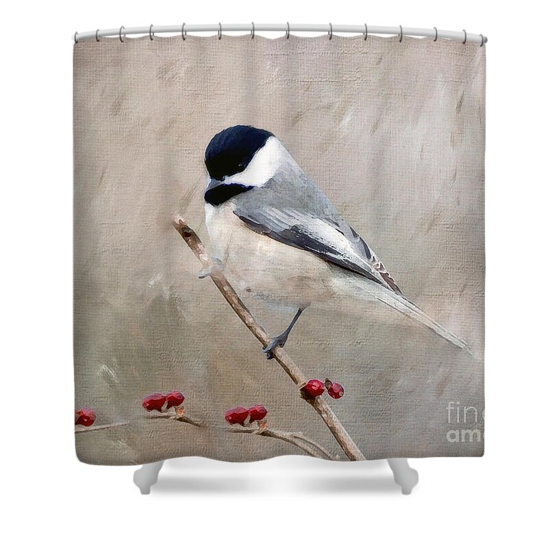 Chickadee Shower Curtain featuring the photograph Chickadee and Berries by Kerri Farley