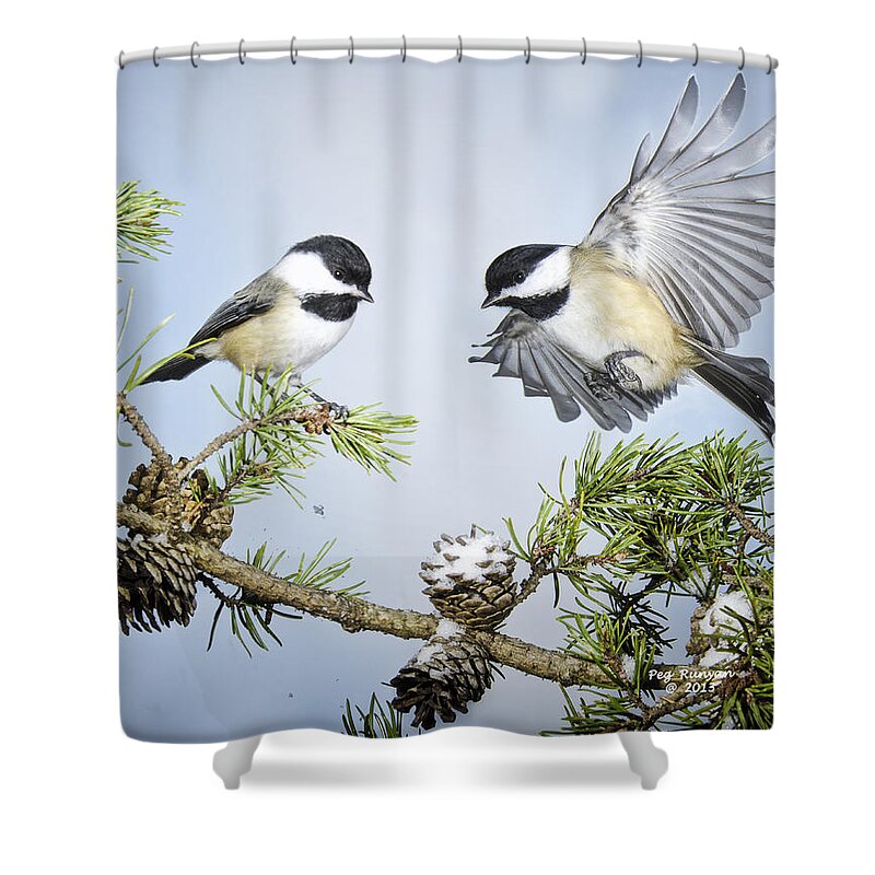 Black Capped Chickadees Shower Curtain featuring the photograph Chickadee Chums by Peg Runyan