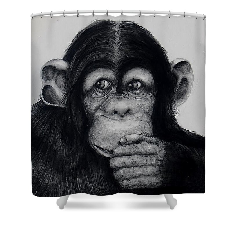 Chimp Shower Curtain featuring the drawing Chimp by Jean Cormier