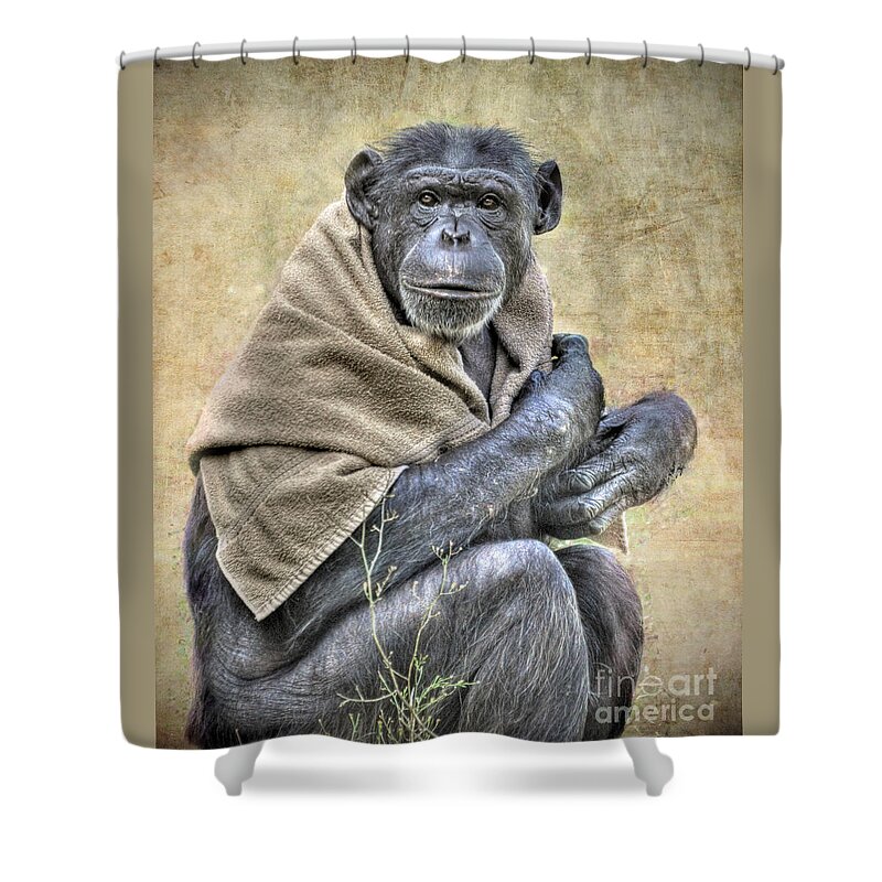 Chimpanzee Shower Curtain featuring the photograph Chimpanzee by Savannah Gibbs