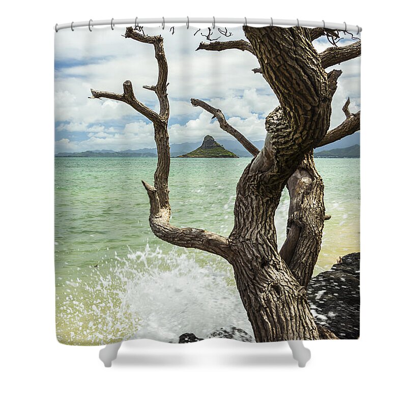 Aqua Shower Curtain featuring the photograph Chinaman's Hat 4 by Leigh Anne Meeks