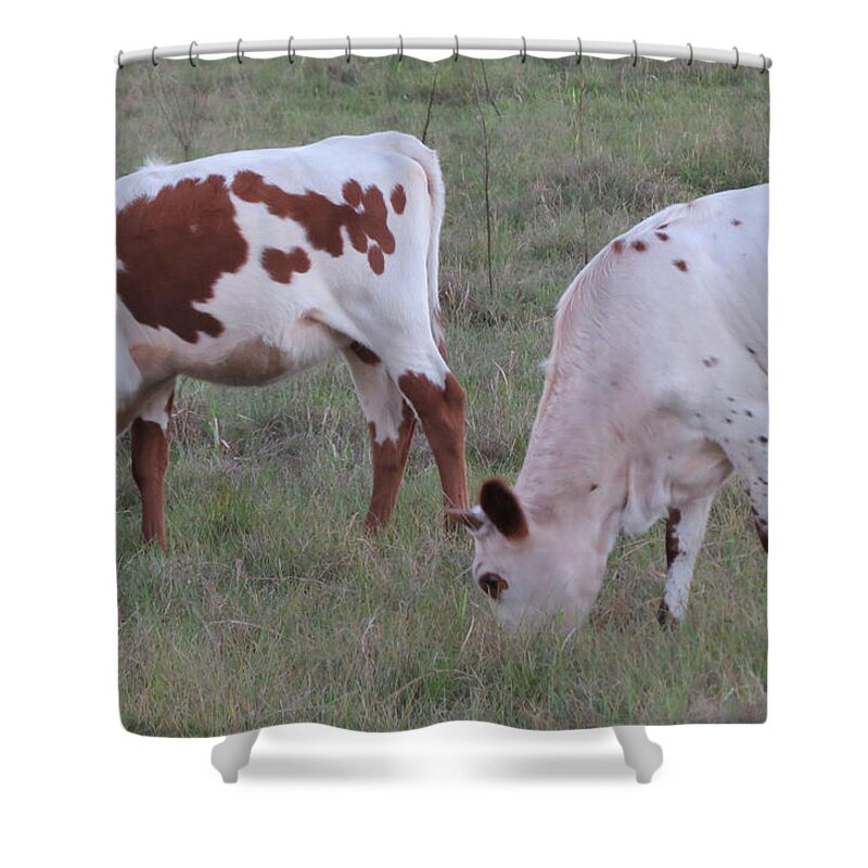 Animals Shower Curtain featuring the photograph Chocolate or White Milk by Fortunate Findings Shirley Dickerson