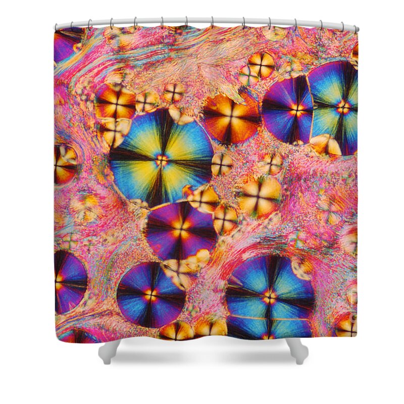 Polarized Light Micrograph Shower Curtain featuring the photograph Cholesteryl Propionate by James M. Bell