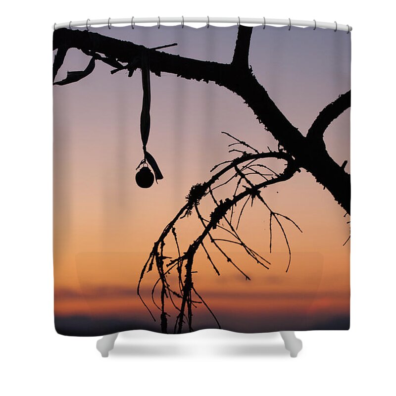 Christmas Shower Curtain featuring the photograph Christmas Branch by Kathy Paynter