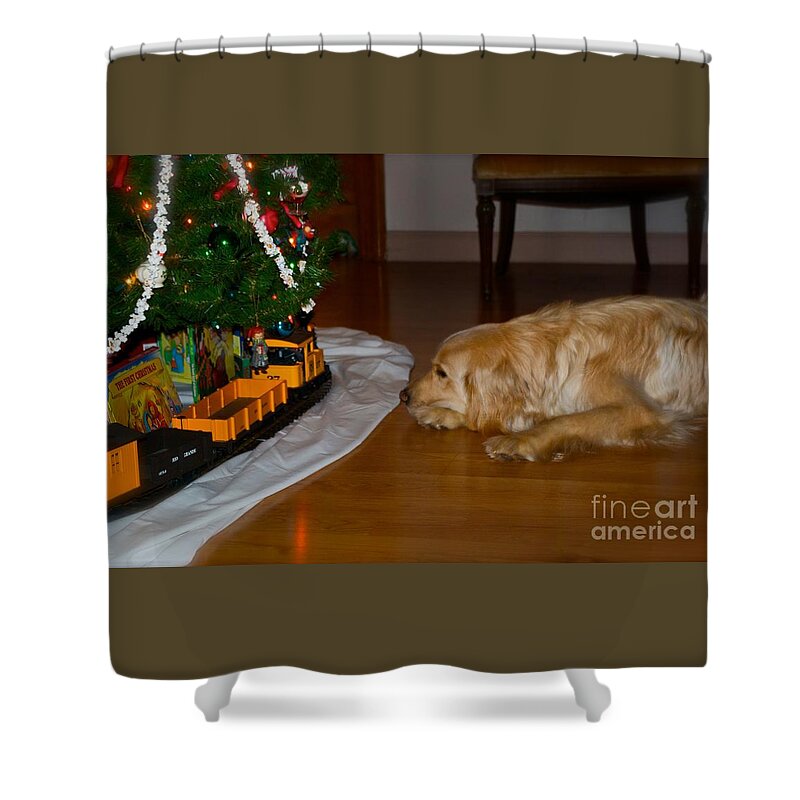 Christmas Cards Shower Curtain featuring the photograph Christmas Train by Frank J Casella