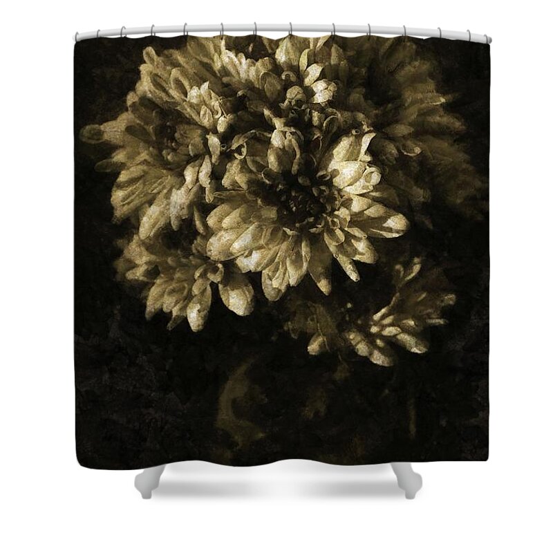 Chrysanthemum Shower Curtain featuring the photograph Chrysanthemum by Dariusz Gudowicz