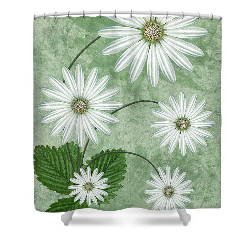 Abstract Flowers Shower Curtain featuring the digital art Cinco by John Edwards