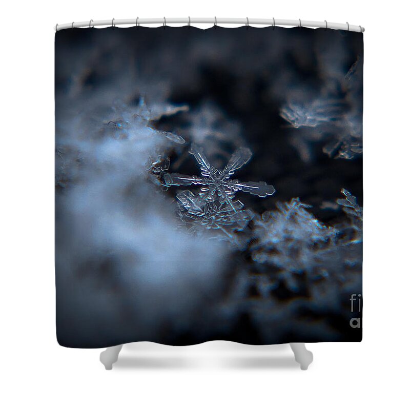  Shower Curtain featuring the photograph Clarity by Cheryl Baxter