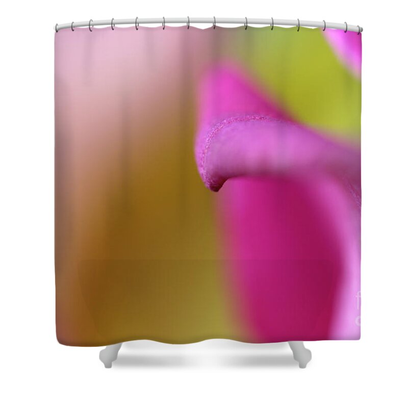 Classy Shower Curtain featuring the photograph Classy Curve by Stacey Zimmerman