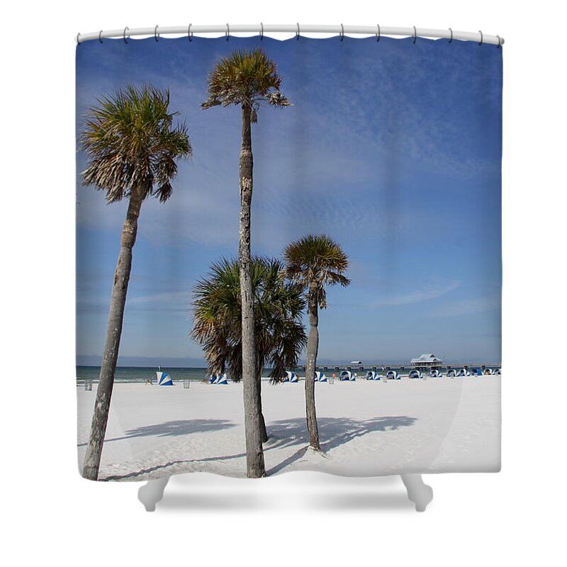 Clearwater Shower Curtain featuring the photograph Clearwater Beach Palms by Christiane Schulze Art And Photography