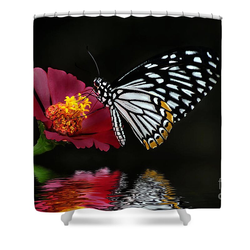 Butterfly Shower Curtain featuring the photograph Cliche on Burgundy by Lois Bryan