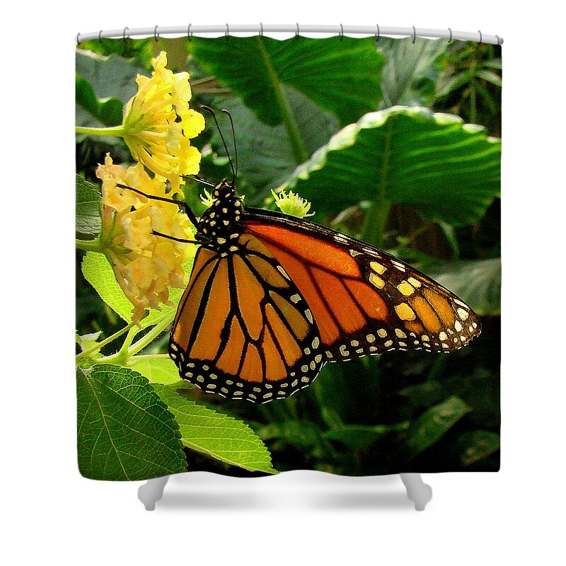 Fine Art Shower Curtain featuring the photograph Cling by Rodney Lee Williams