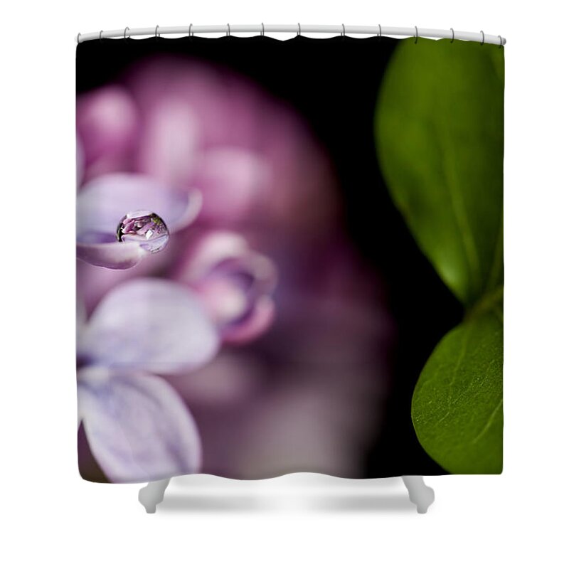 Growth Shower Curtain featuring the photograph Close up Lilac by Mark Duffy