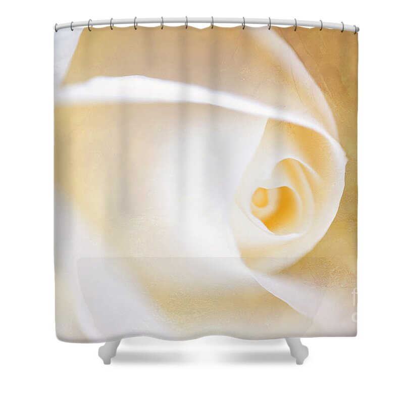 Close Up Shower Curtain featuring the photograph Close up of a white rose with texture by Jaroslaw Blaminsky