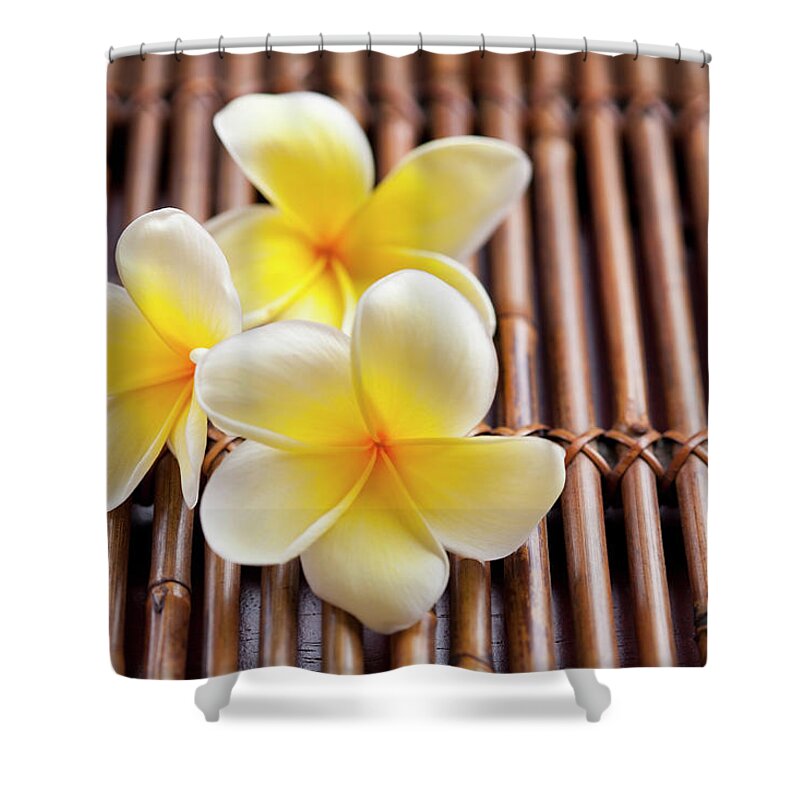 Spa Shower Curtain featuring the photograph Close-up Of Pink Plumeria Flower by Kristin Lee