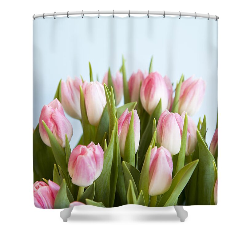 Vase Shower Curtain featuring the photograph Close Up Of Pink Tulips by Jamieb