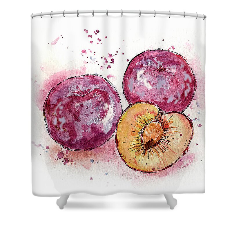 Art Shower Curtain featuring the painting Close Up Of Three Plums by Ikon Ikon Images