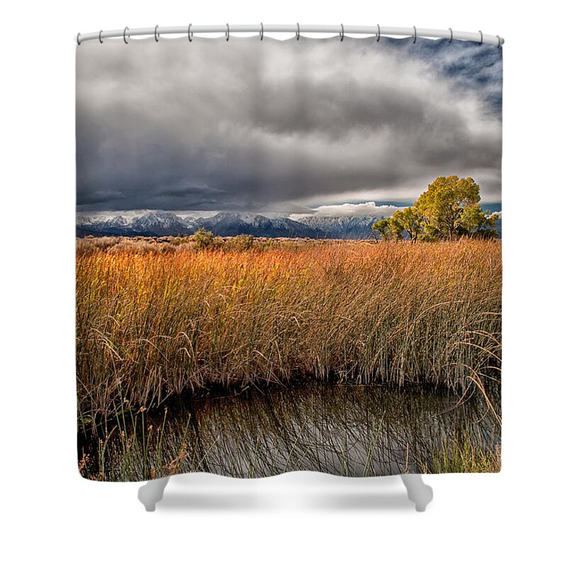 Water Shower Curtain featuring the photograph Clouds and Reeds by Cat Connor