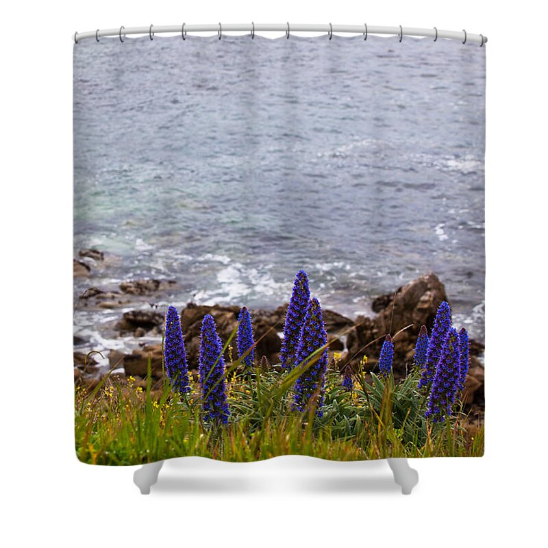 2012 Shower Curtain featuring the photograph Coastal Cliff Flowers by Melinda Ledsome