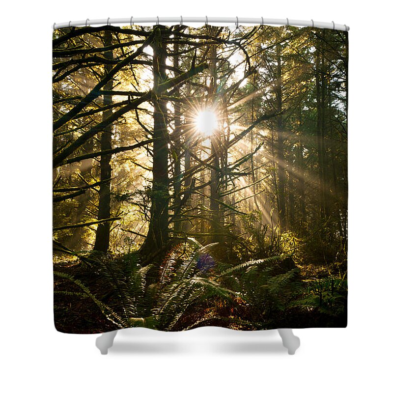 Oregon Shower Curtain featuring the photograph Coastal Forest by Andrew Kumler