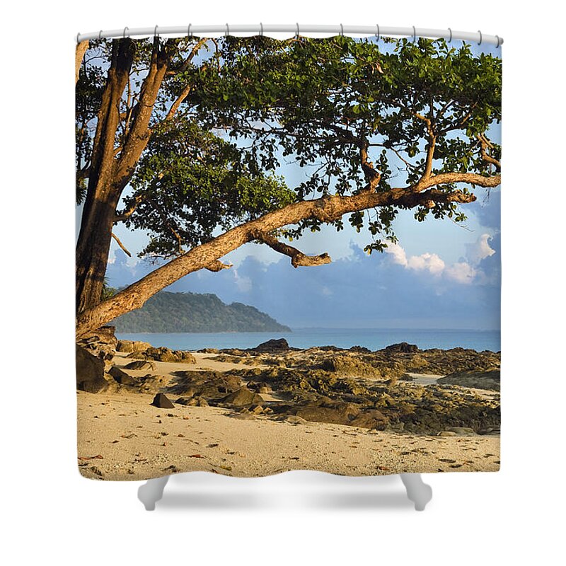 Feb0514 Shower Curtain featuring the photograph Coastal Rainforest Havelock Isl India by Konrad Wothe