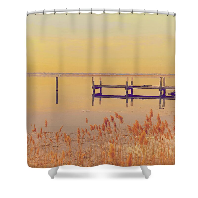 Winter Shower Curtain featuring the photograph Coastal Winter by Karol Livote