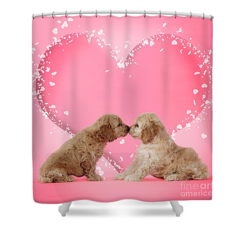 Dog Shower Curtain featuring the photograph Cockapoos In Love by John Daniels