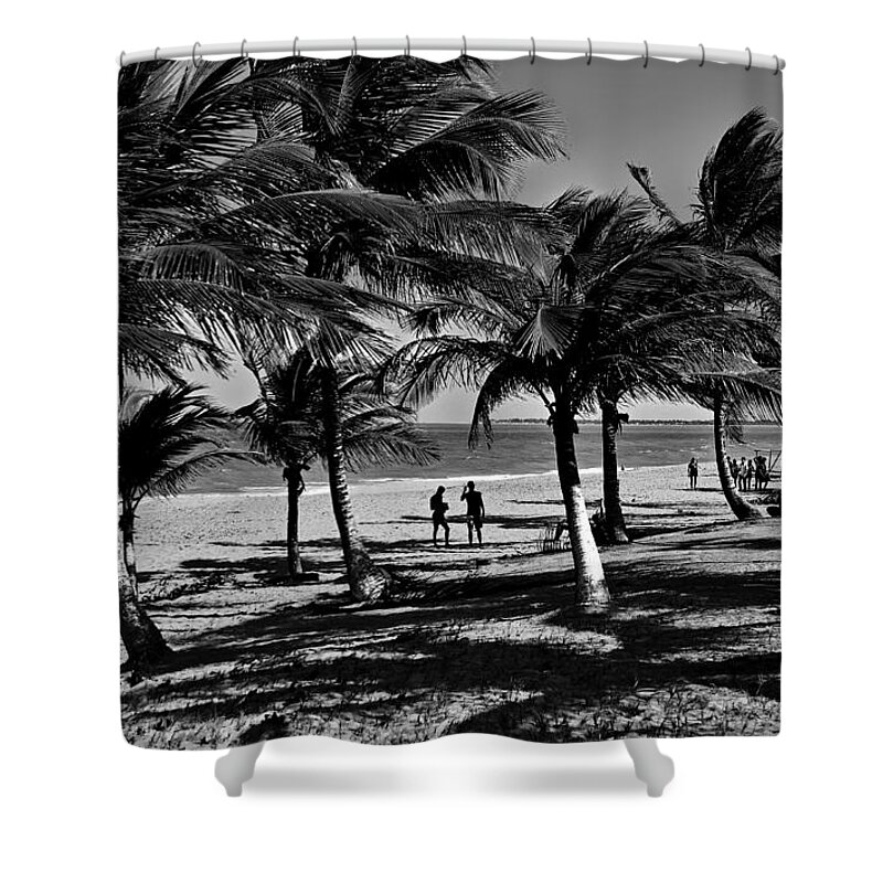 Bw Shower Curtain featuring the photograph Coconut Trees on a Typical Bahia Beach by Carlos Alkmin