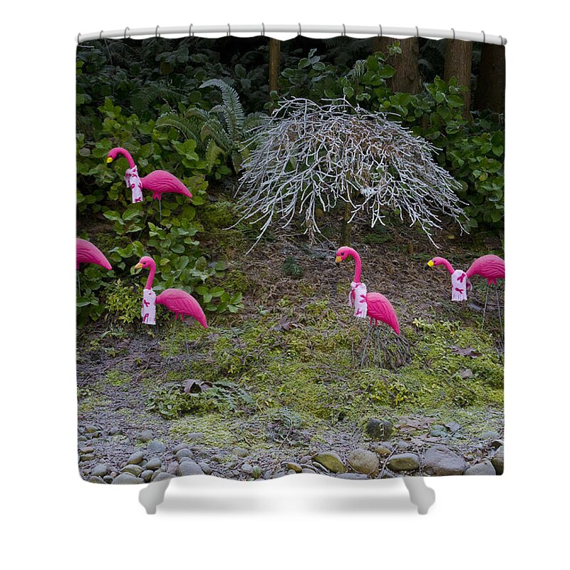 Wall Art Shower Curtain featuring the photograph Cold Pink Flamingos by Ron Roberts
