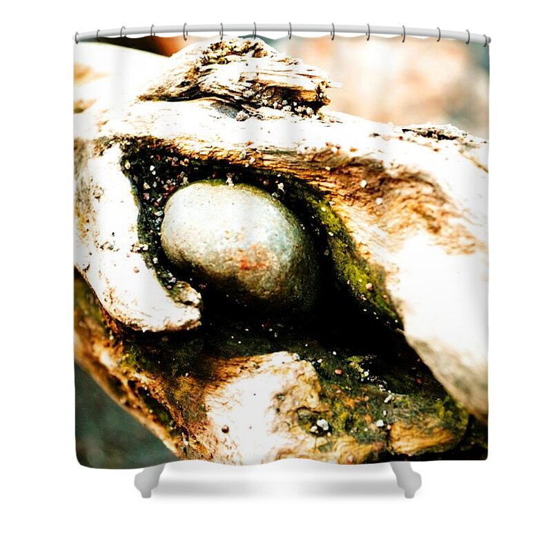 Abstract Shower Curtain featuring the photograph Cold Stare by Laureen Murtha Menzl