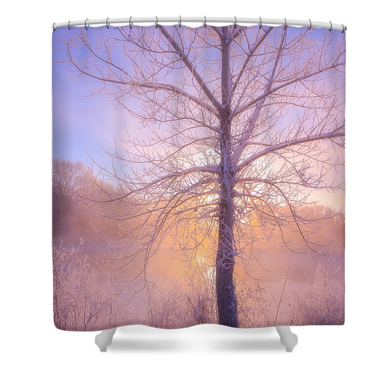 Fog Shower Curtain featuring the photograph Cold Winter Morning by Darren White