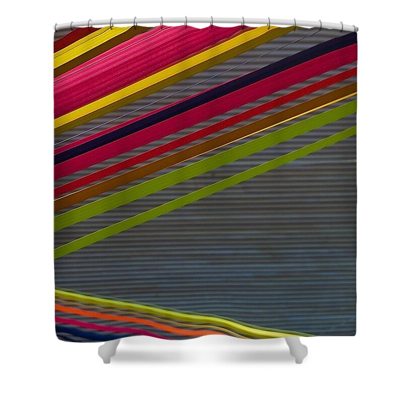 New Zealand Shower Curtain featuring the photograph Color Strips by Stuart Litoff